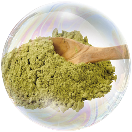 Hemp seed